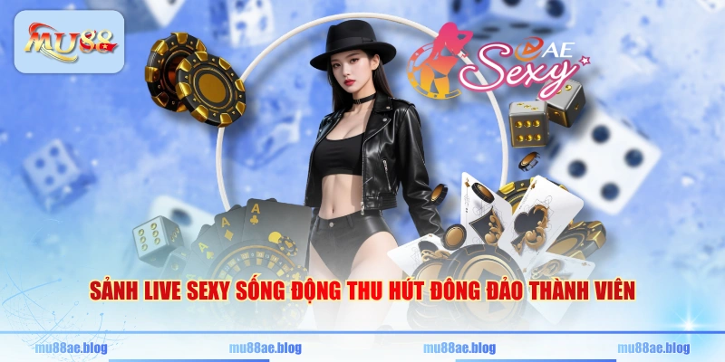 Sảnh Live Sexy sống động thu hút đông đảo thành viên